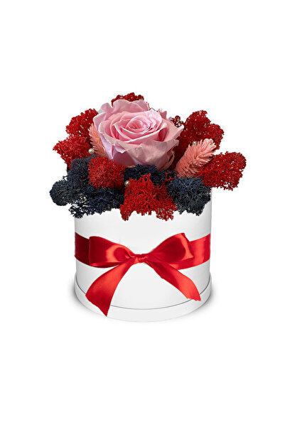 velve Trandafir criogenat Autum Vibes decorat in cutie alba cu licheni natura...