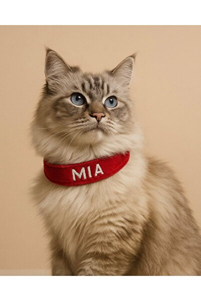 Lusi Doog Kadife İsimli Kedi Tasması Kedi Boyun Tasması Ayarlanabilir