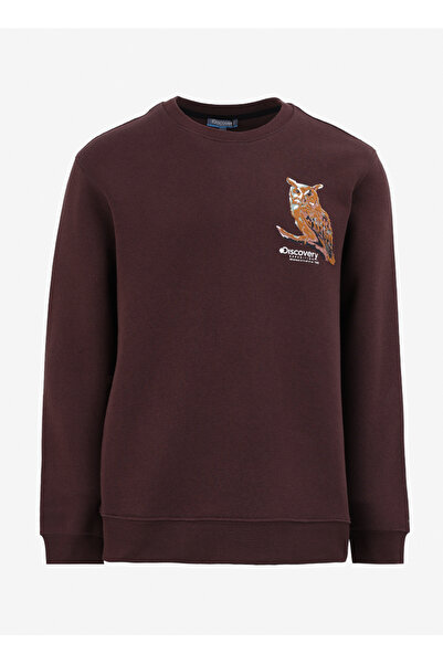 Discovery Expedition Kahve Erkek Bisiklet Yaka Relaxed Fit Nakışlı Sweatshirt...