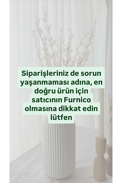 FURNİCO Sedef Çiçek, Şoklanmis Sedef , Kuru Çiçek