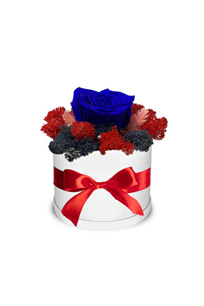 velve Trandafir criogenat Autum Vibes decorat in cutie alba cu licheni naturali stabilizati, Albastru