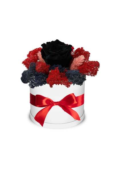 velve Trandafir criogenat Autum Vibes decorat in cutie alba cu licheni natura...