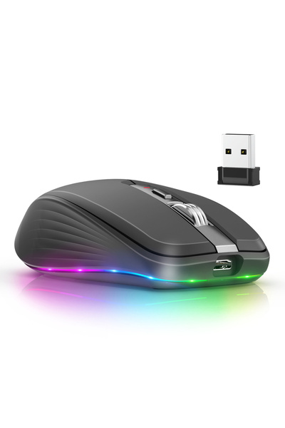 Choice black 2.4G BT5.1 Dual-mode Wireless Mouse Computer Gaming Mice Ergonomic Design 2400 DPI Mute RGB Ga