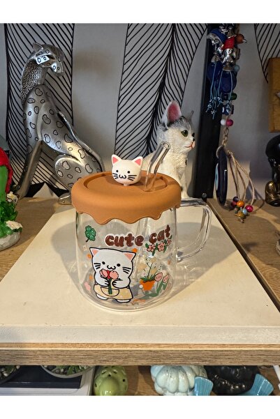 Atak Hediyelik Cute Cat cam pipet silikon kapak cam kupa 550 ml