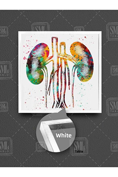 SML TABLO Urolog Urologie Doctor Consultorii Decor Ilustrație colorată Pictură pe pânză pătrată înrămată