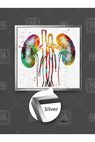 SML TABLO Urolog Urologie Doctor Consultorii Decor Ilustrație colorată Pictură pe pânză pătrată înrămată