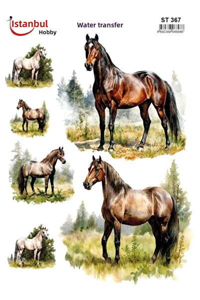 İstanbul Hobi ورق نقل مائي 25×35 سم ST-367