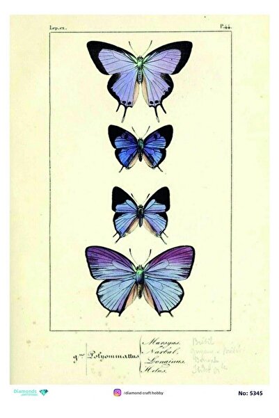 ehobici ورق ديكور من النحاس الماسي - 5345