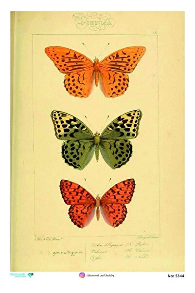 ehobici ورق ديكور من النحاس الماسي - 5344