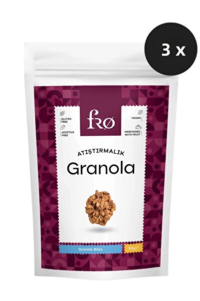 FRO 3 Pack Snack Granola Vegan Gluten Free Sugar Free Snack Healthy Snack Granola