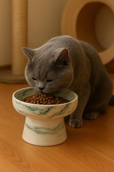 PAWALYA Seramik Ayaklı Eğimli Kedi ve Köpek Mama Ve Su Kabı