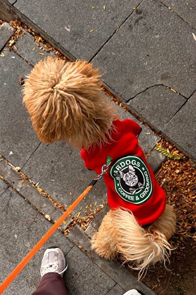 salya store Köpek Kıyafeti, Köpek Sweatshirt, Stardogs College Ceket