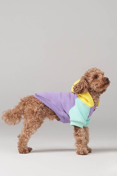 salya store Köpek Kıyafeti, Köpek Sweatshirt, Positive Vibes Küçük Irk Köpek Elbisesi