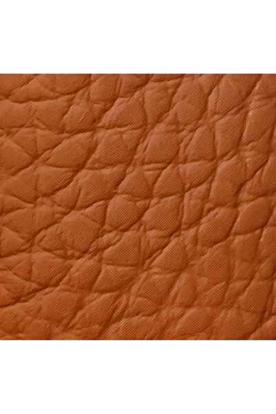 Guerlain Rouge G 24 Lips Case Le Camel