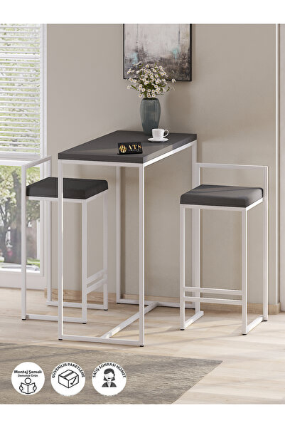 ATS Dekor BARVİA, 2'Li Bar Masa Takımı,Metal Ayaklı ,Mutfak Masası, Beyaz Gri