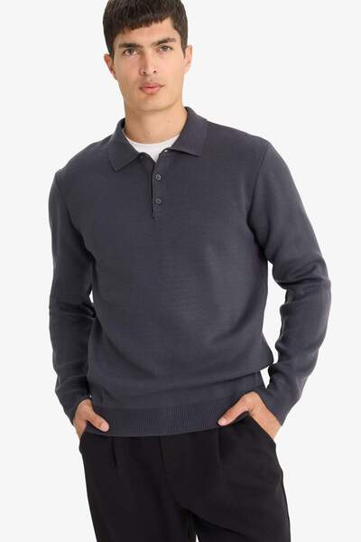 DeFacto Standard Fit Polo Neck Knitwear Sweater F1523Ax25Au