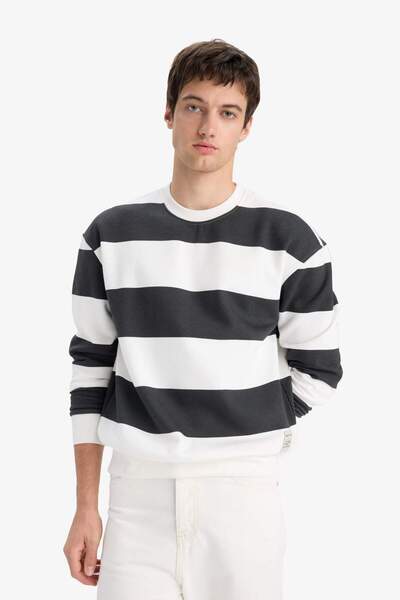 DeFacto Boxy Fit Bisiklet Yaka Çizgili Sweatshirt A9066AX25AU
