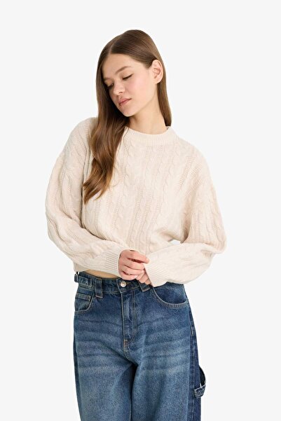 DeFacto Coool Regular Fit Crew Neck Knitwear Sweater T4518Az25Wn