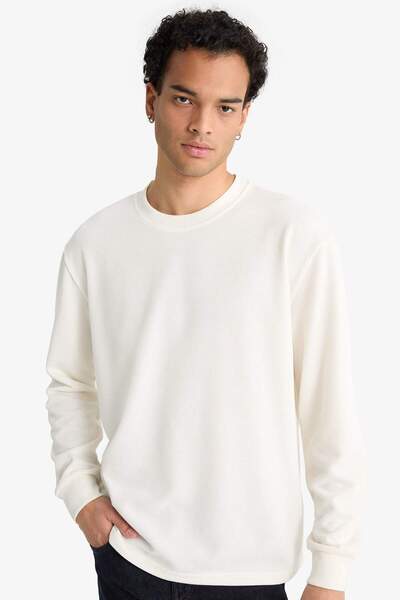 DeFacto Regular Fit Crew Neck Long Sleeve Body F2263Ax25Au
