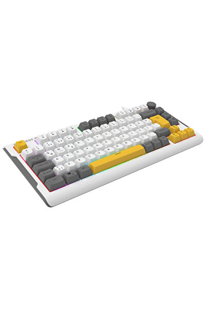 Everest KB-75 Membran Klavye Sessiz Klavye Rgb Aydınlatmalı Q Oyuncu Klavyesi Gaming Klavye Mavi/Turuncu