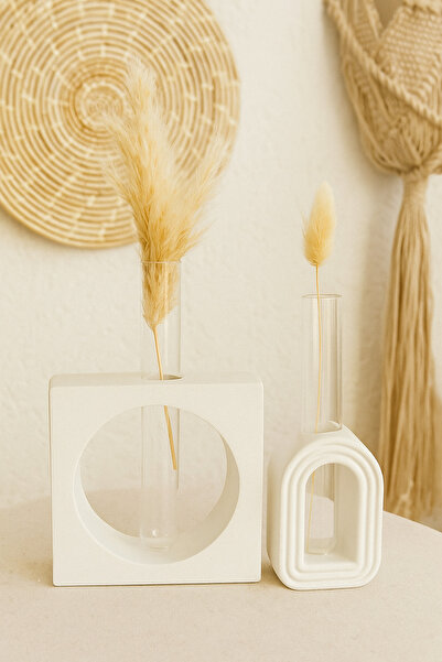 Home Şık Minimalist Dekoratif Tüplü Vazo Seti - Modern Vazo (Tüp ile Birlikte)