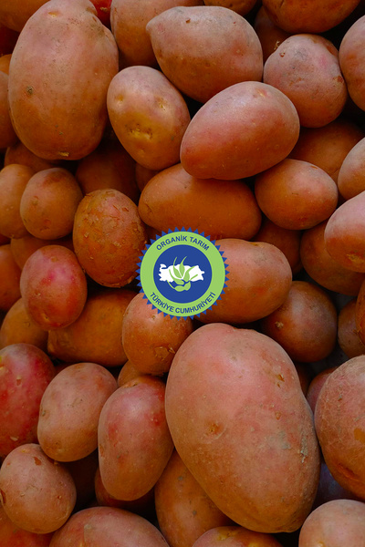 UMUT ORGANİK Organik Kırmızı Patates 1kg (Sertifikalı)