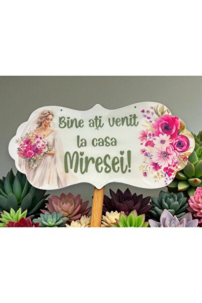 OEM Placuta Bine ati venit la casa Miresei, 67x31cm, MDF, ROZ