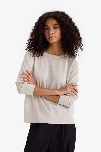 DeFacto Pulover de tricotaj simplu de bază cu decolteu rotund și argintiu C6818AX24WN