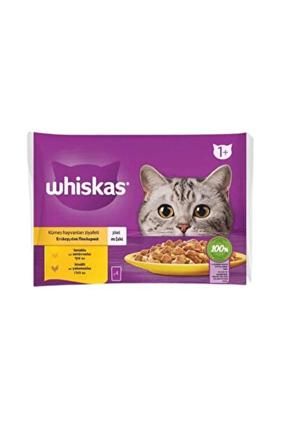 Whiskas Pouch Jöle İçinde Tavuklu ve Hindili Yetişkin Kedi Konservesi 4x85 Gr