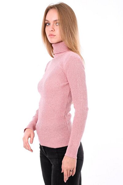 hazelin Women's Pink High Neck Ribbed Knit Sweater Hzl22W-H100011