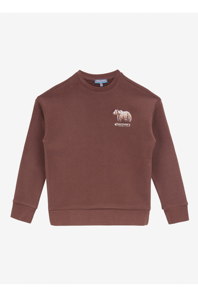 Discovery Expedition Bisiklet Yaka Baskılı Kahve Erkek Çocuk Eşofman Üstü D4W...