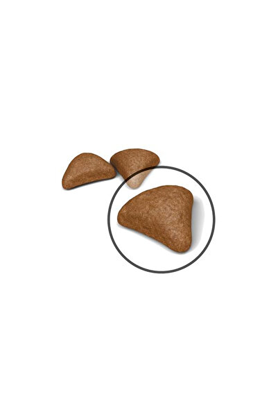 Royal Canin Hairball Tüy Yumağı Önleyici Yetişkin Kedi Maması 2 Kg