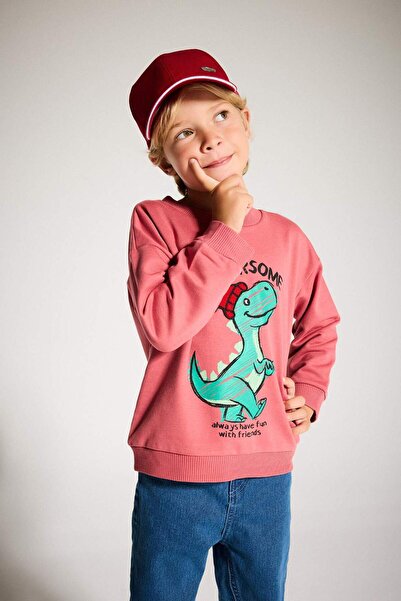 DeFacto Baby Boy Crew Neck Dinosaur Printed Soft Furry Inside Sweatshirt F4531A525Au