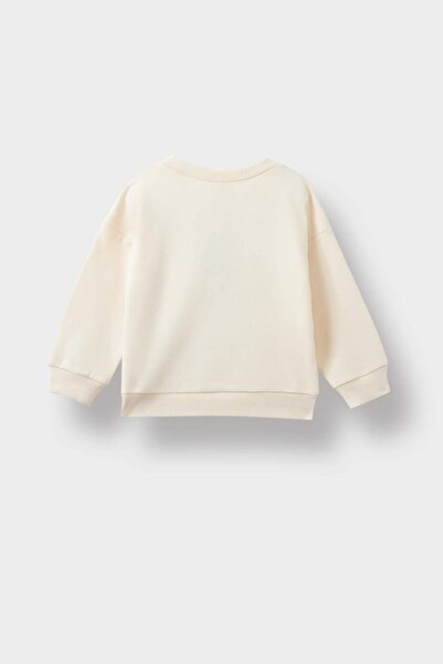 DeFacto Erkek Bebek Bisiklet Yaka Dinozor Baskılı İçi Yumuşak Tüylü Sweatshirt E9230A525AU