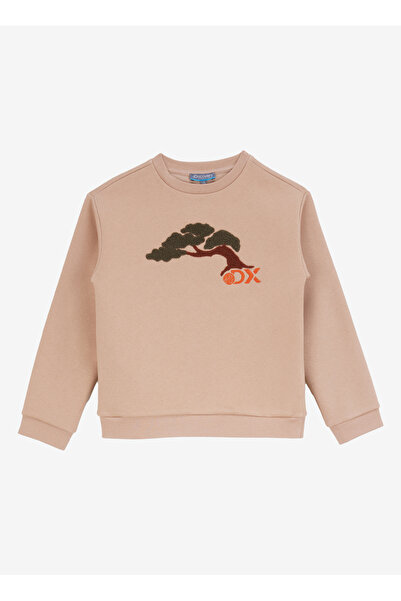 Discovery Expedition Nakışlı Erkek Çocuk Bej Sweatshırt D4WB-SWT3101