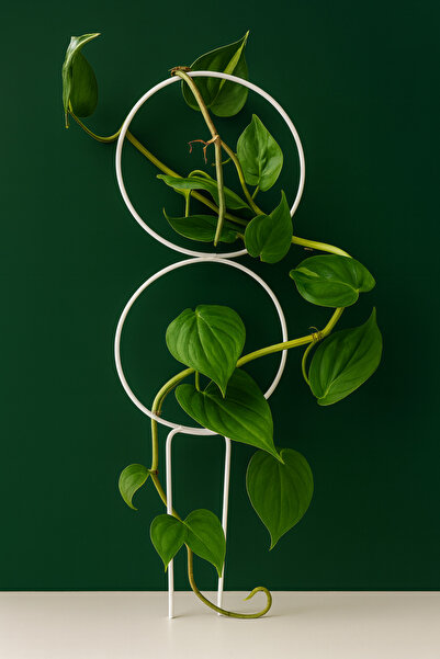 plot plant lovers of turkey Metal Bitki Desteği 56 cm Çift Halkalı El Yapımı ...