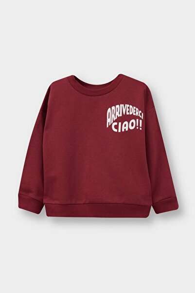DeFacto Baby Boy Crew Neck Printed 2-Piece Sweatshirt E9228A525Au