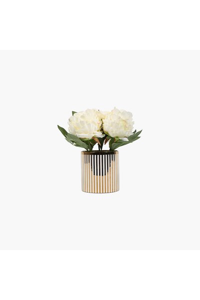 JASMIN CONCEPTS Saksılı Şakayık Beyaz 26cm