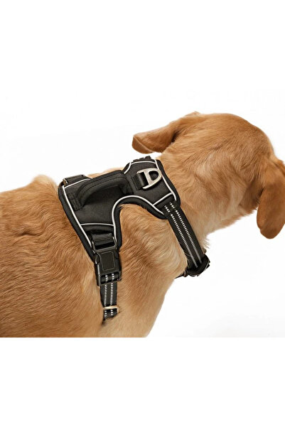 Petza Köpek Göğüs Tasması Finwe Siyah