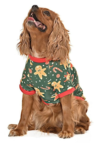 Petza Küçük ve Orta Irk Köpek Sweater - Limba