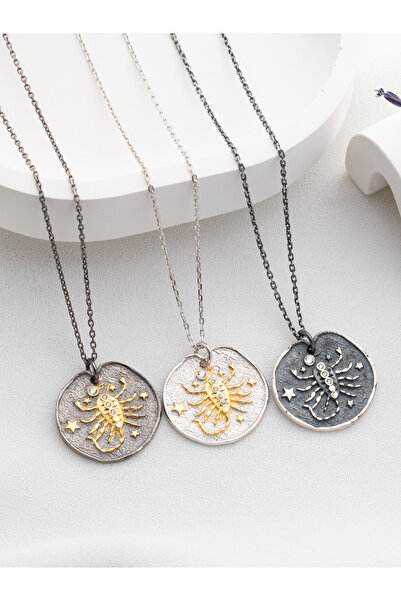 Two Arts Jewelry Kadın 925 Ayar Gümüş Akrep Burcu Kolye | Kişiye Özel Tasarım | Hediye Kutusunda