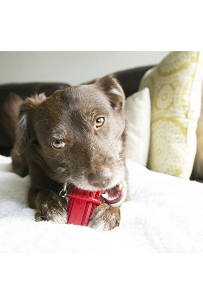 Kong Dental Stick Diş Temizliği için Çok Amaçlı Köpek Oyuncağı Small 8 Cm