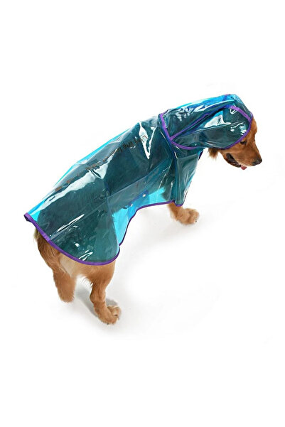 Petza Köpek Büyük Irk Yağmurluk Otso Şeffaf Mavi