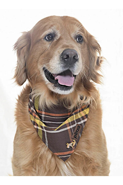 Petza Dog Bandana / Wasp