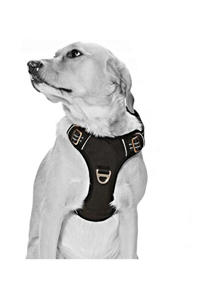 Petza Köpek Göğüs Tasması Finwe Siyah