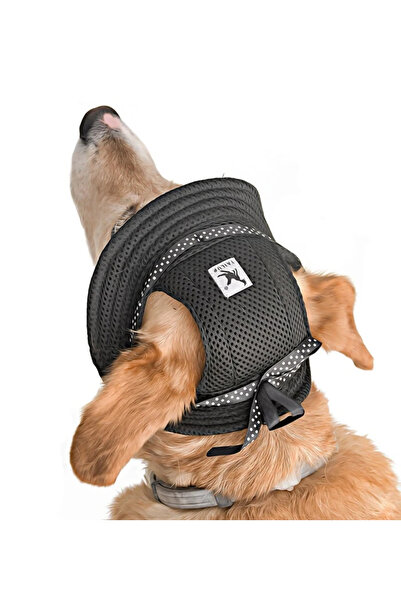 Petza Küçük ve Orta Irk Köpekler için Şapka Meloni - Siyah