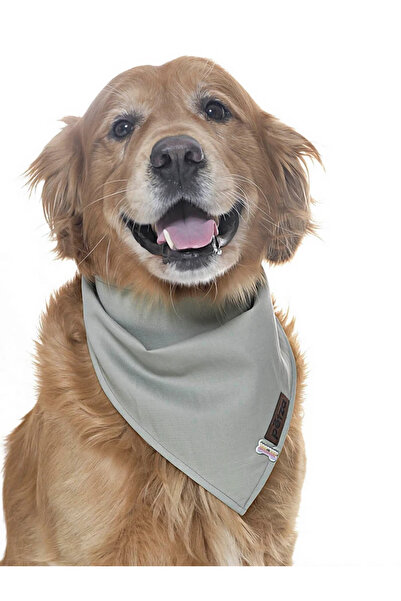 Petza باندانا للكلاب / بونتي