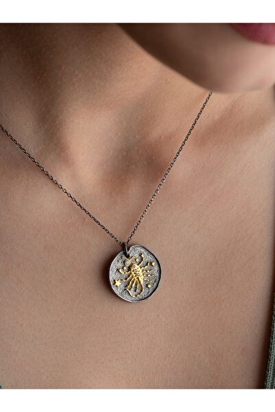 Two Arts Jewelry Kadın 925 Ayar Gümüş Akrep Burcu Kolye | Kişiye Özel Tasarım | Hediye Kutusunda