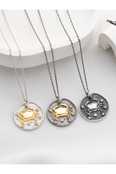 Two Arts Jewelry 925 Ayar Gümüş Yengeç Burcu Kolye – Kişiye Özel Premium Tasarım