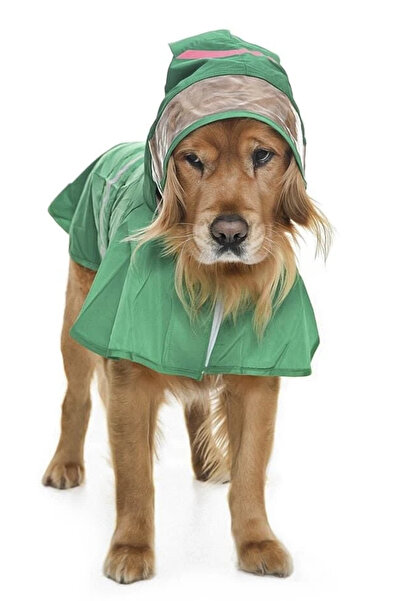 Petza معطف واق من المطر للكلاب من السلالات المتوسطة والكبيرة - الضفدع